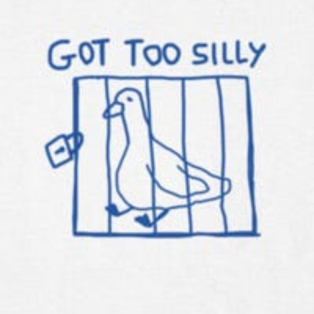 Got Too Silly Unisex T-shirt, Meme Funny T-shirt, Silly Goose Tee - Picture 2 of 4